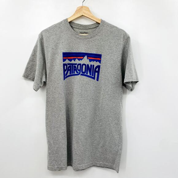 Patagonia gray Graphic Tee - Picture 2 of 4